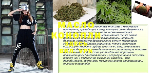 индика Краснотурьинск