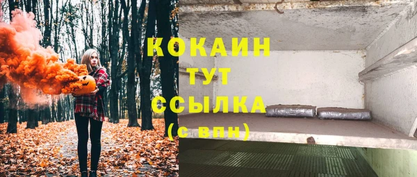 таблы Краснослободск