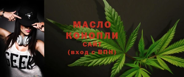 индика Краснотурьинск