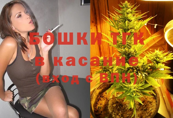 индика Краснотурьинск
