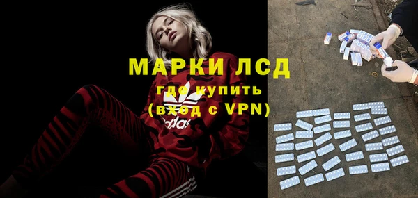индика Краснотурьинск