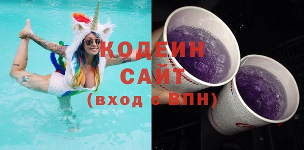 индика Краснотурьинск