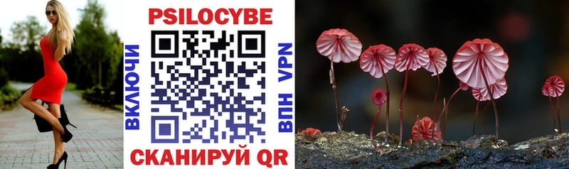 Галлюциногенные грибы Psilocybe  Прокопьевск 